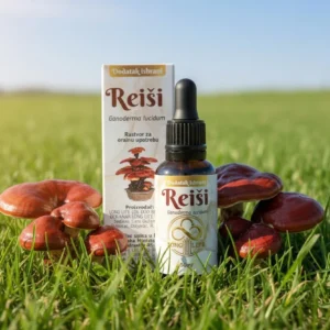 Reiši
